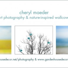 CherylMaeder-DreamscapesGardenWallsPromo1.jpg